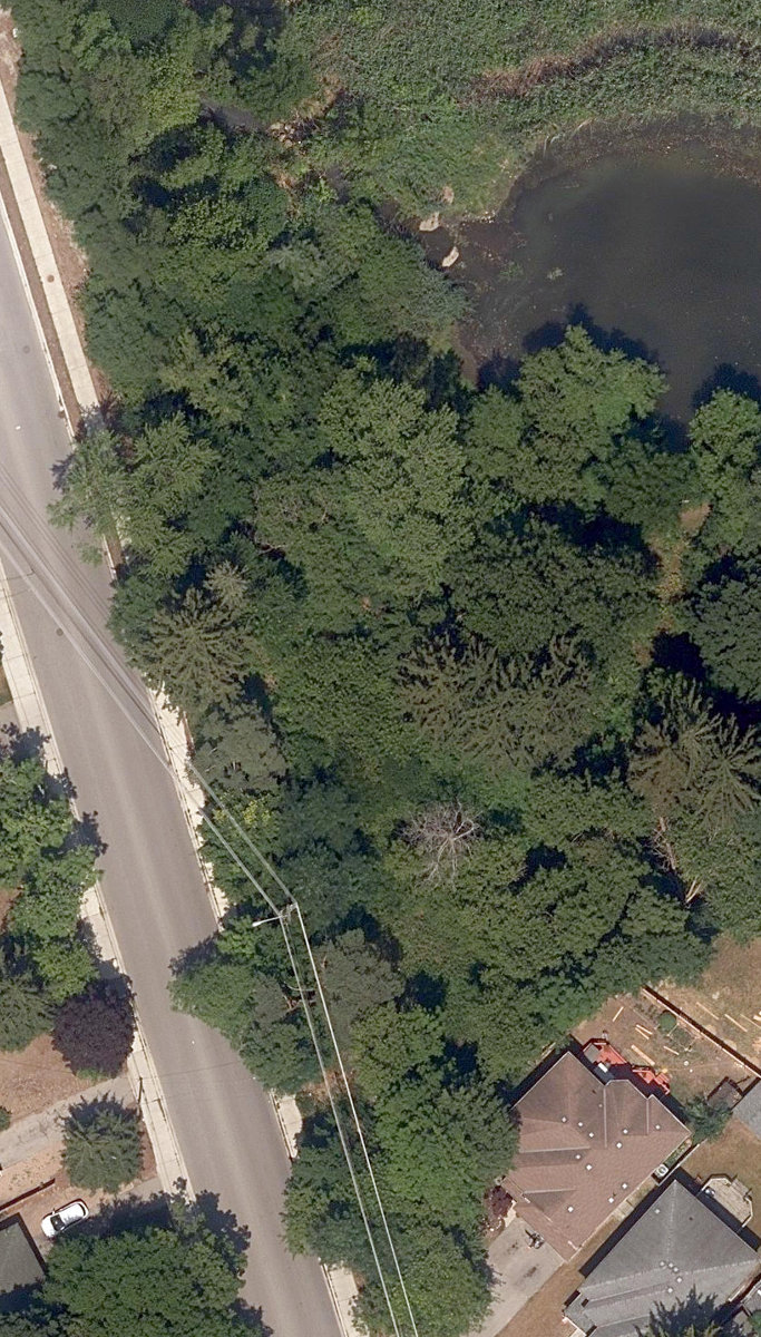 Highland Creek Tributary — site photograph