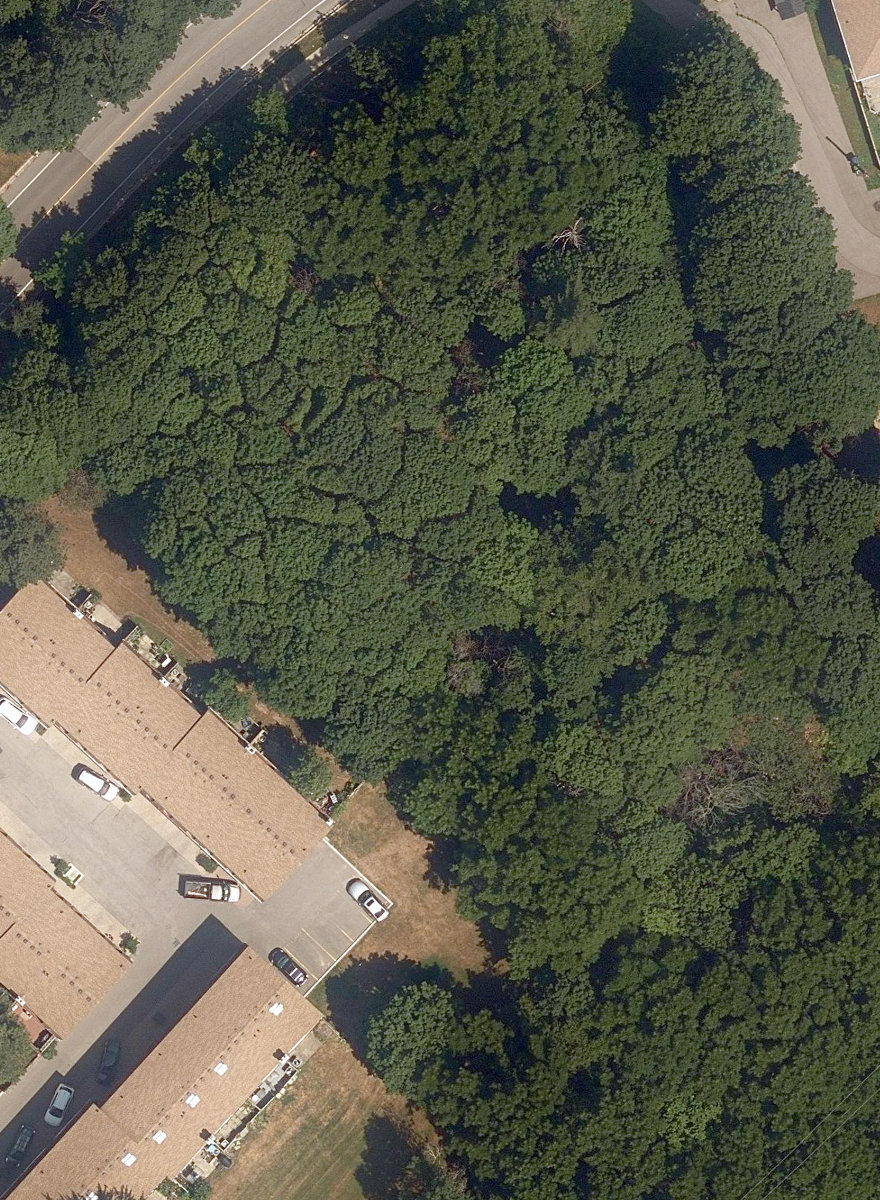 City Wide Open Space — site photograph
