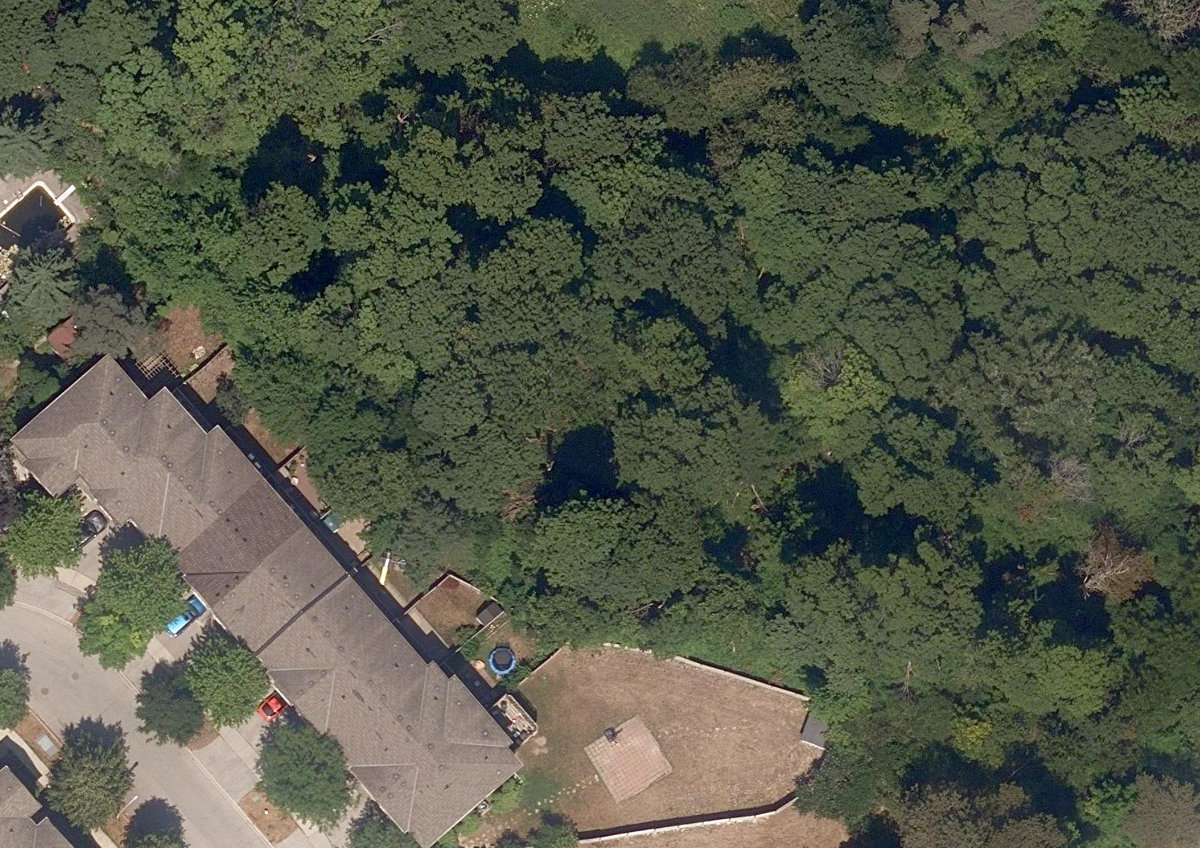 City Wide Open Space — site photograph