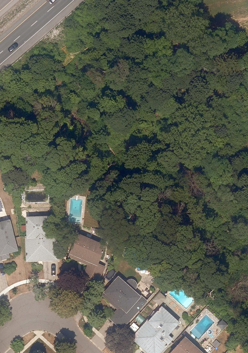 Highland Creek Tributary — site photograph