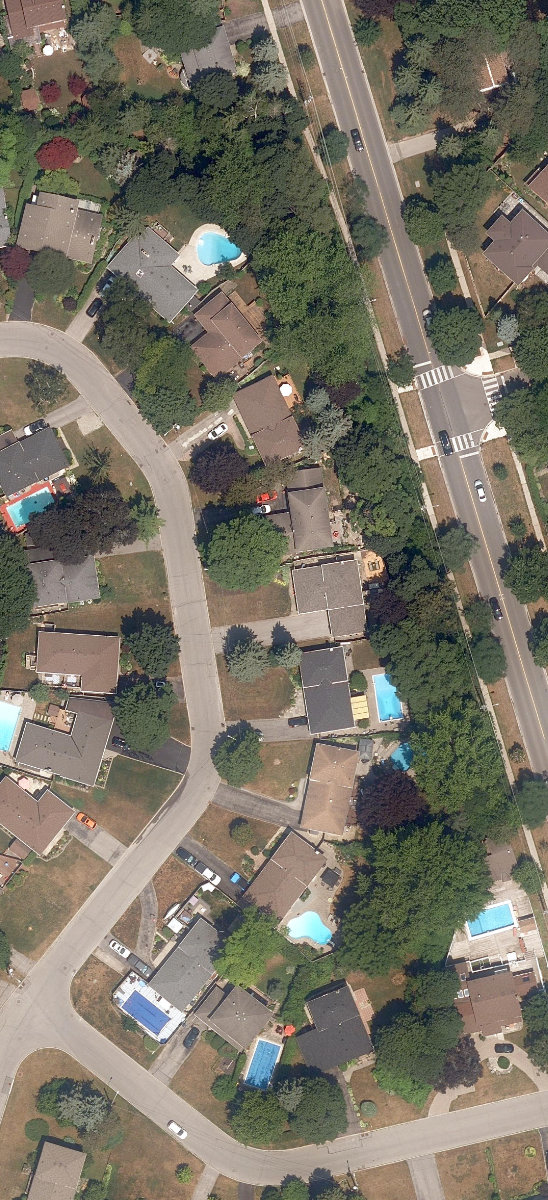 Adam'S Creek Ravine — site photograph