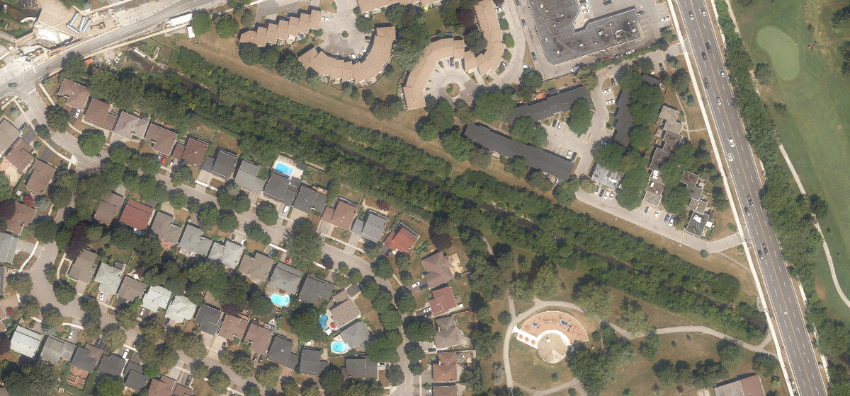 West Highland Creek Watercourse — site photograph