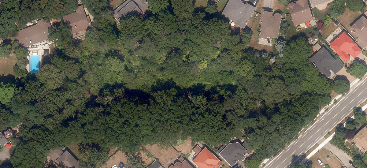 City Wide Open Space — site photograph