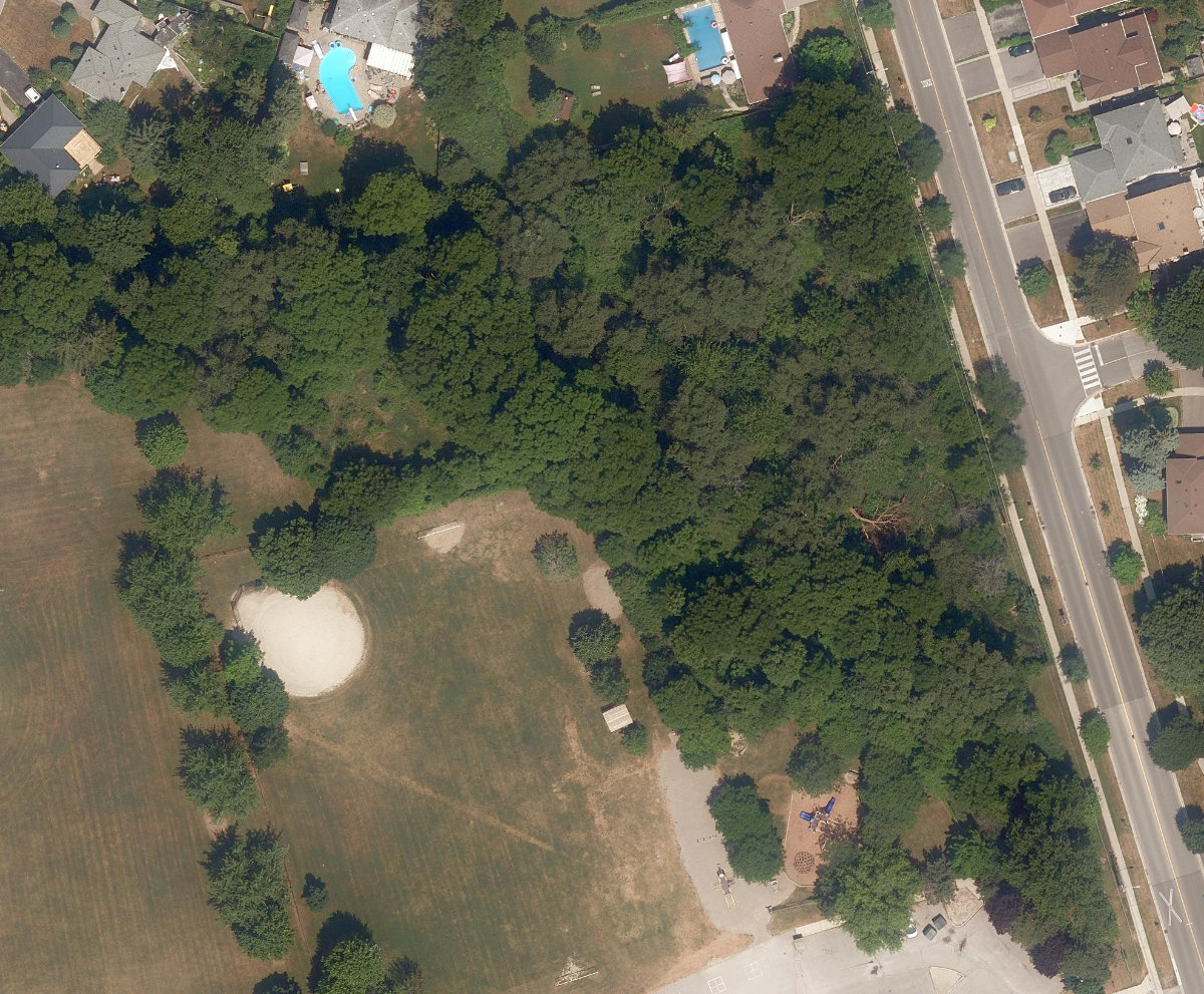 Adam'S Creek Ravine — site photograph