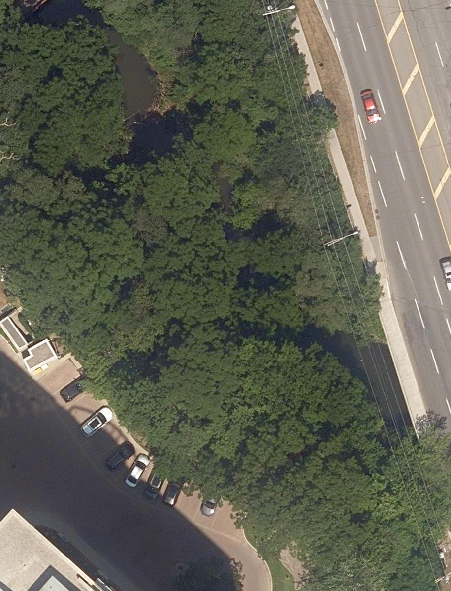 Ron Watson Park — aerial / top-down view