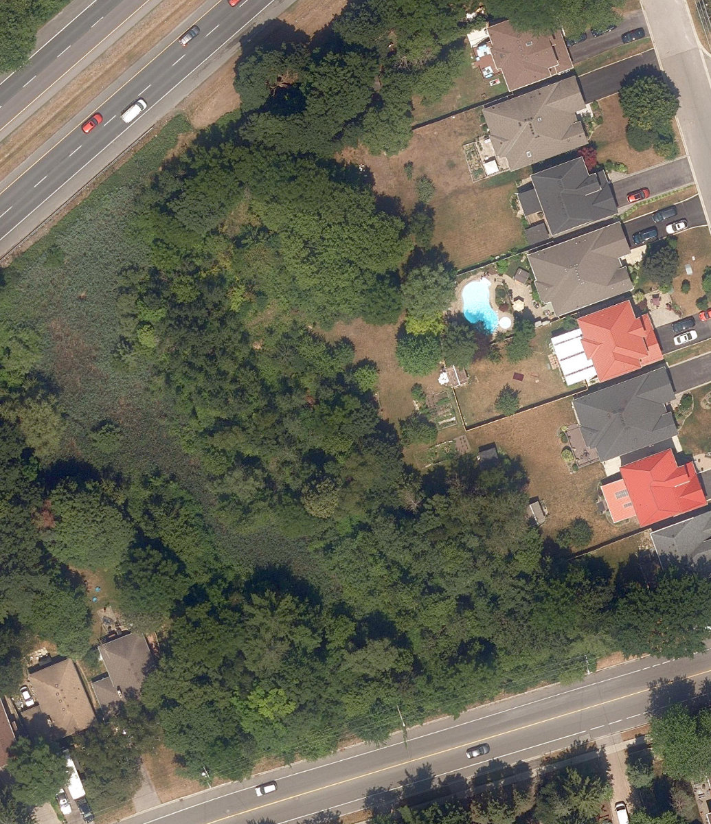 Lawson Road Woodlot — site photograph