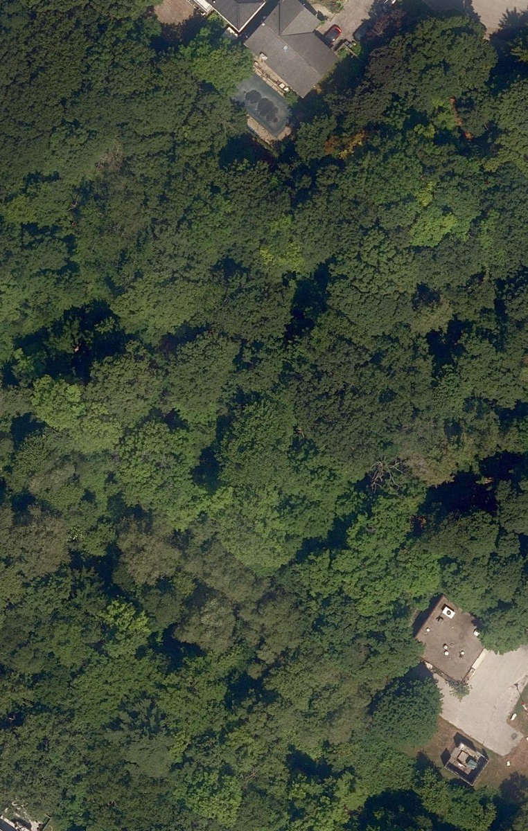 Adam'S Creek Ravine — site photograph