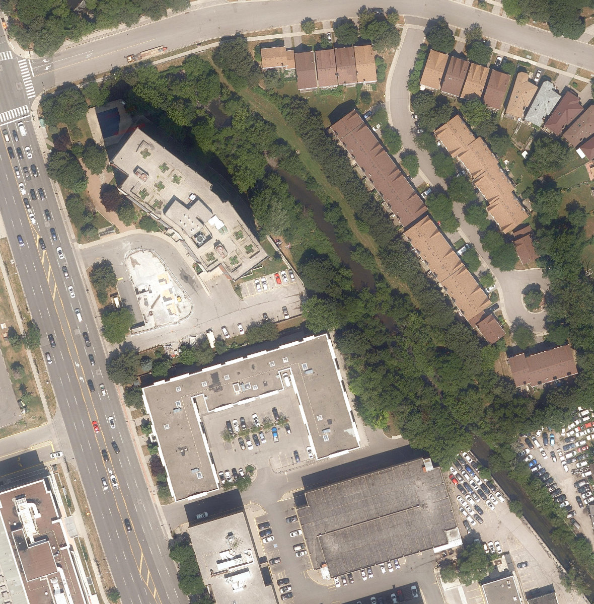 West Highland Creek Watercourse — site photograph