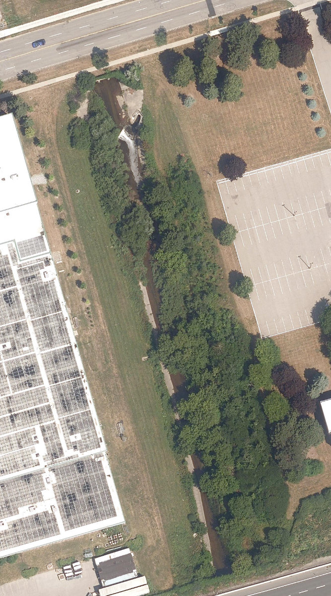 East Highland Creek Watercourse — site photograph