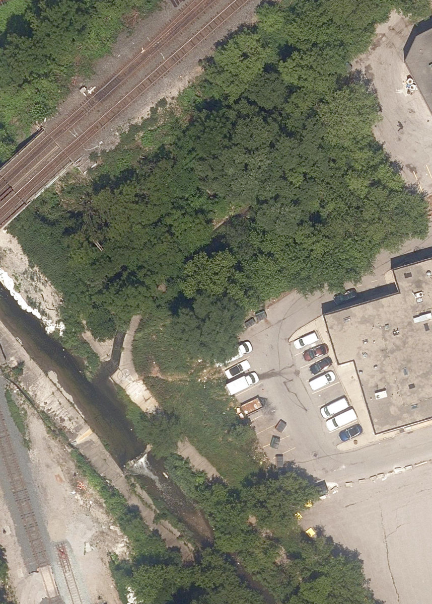 West Highland Creek Watercourse — site photograph