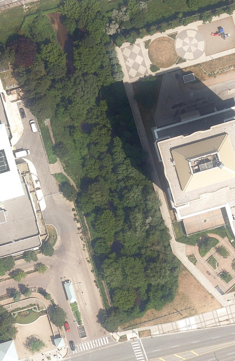 East Highland Creek Watercourse — site photograph