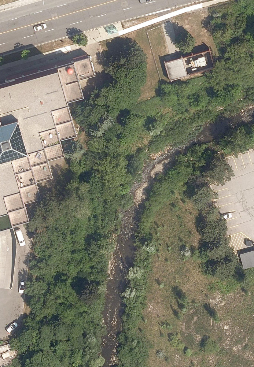 East Highland Creek Watercourse — site photograph