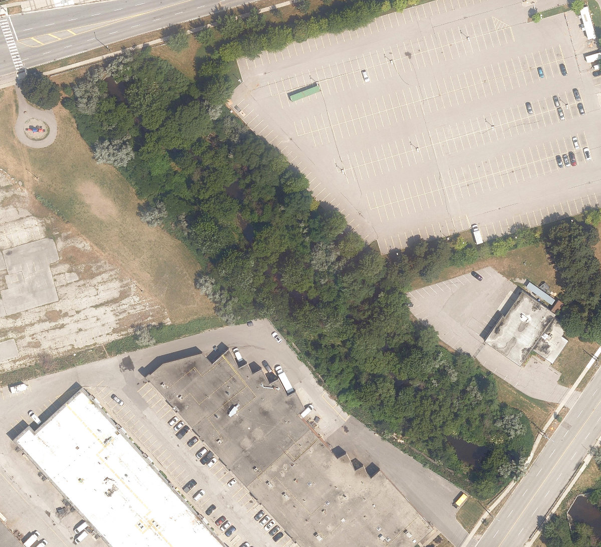 East Highland Creek Watercourse — site photograph