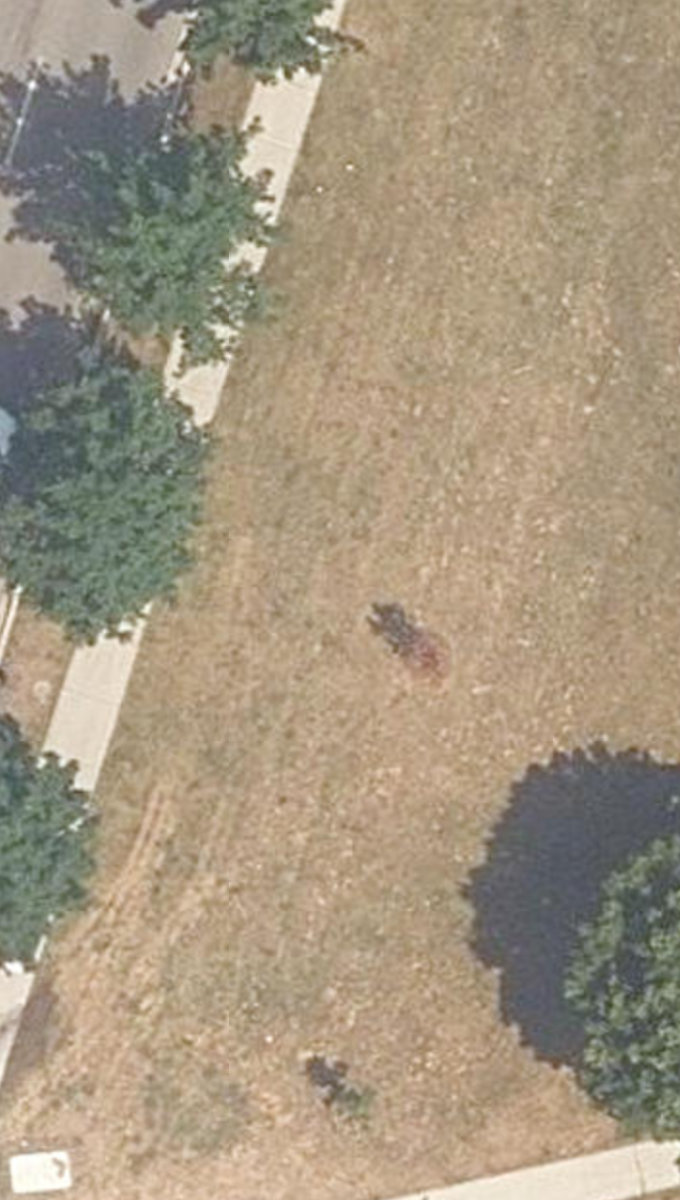 City Wide Open Space — site photograph