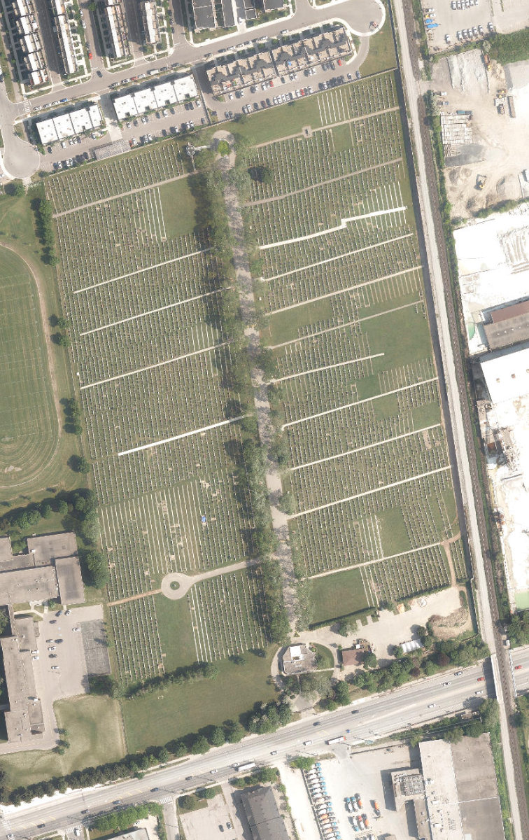 Mount Sinai Memorial Park — site photograph