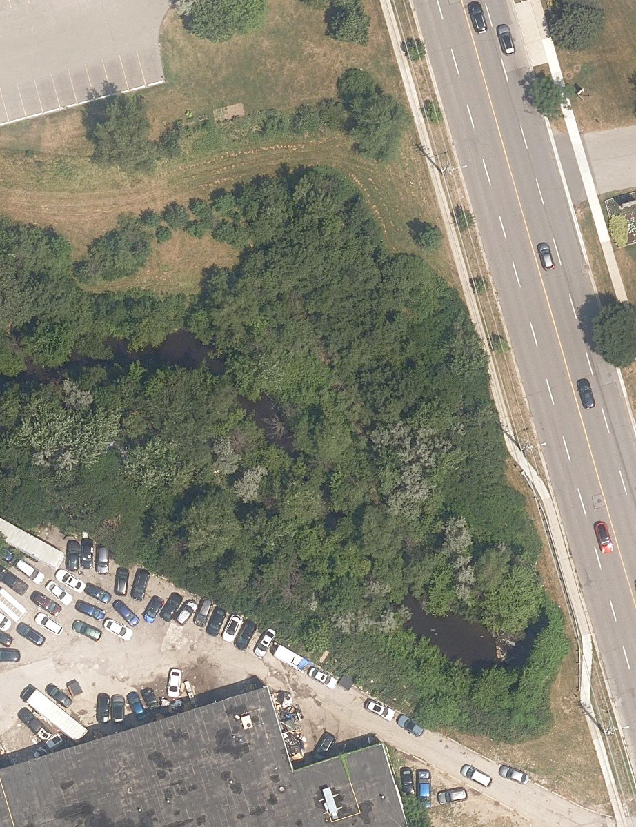 East Highland Creek Watercourse — site photograph
