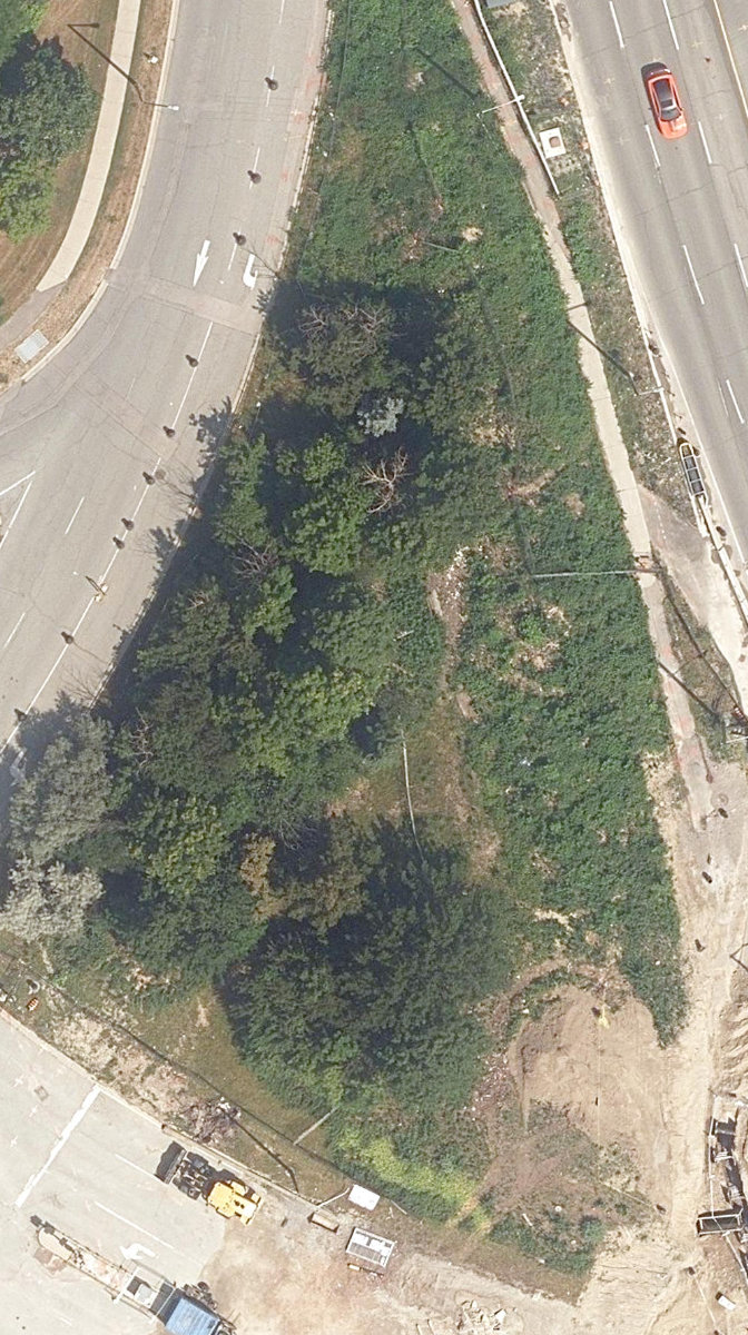 City Wide Open Space — site photograph