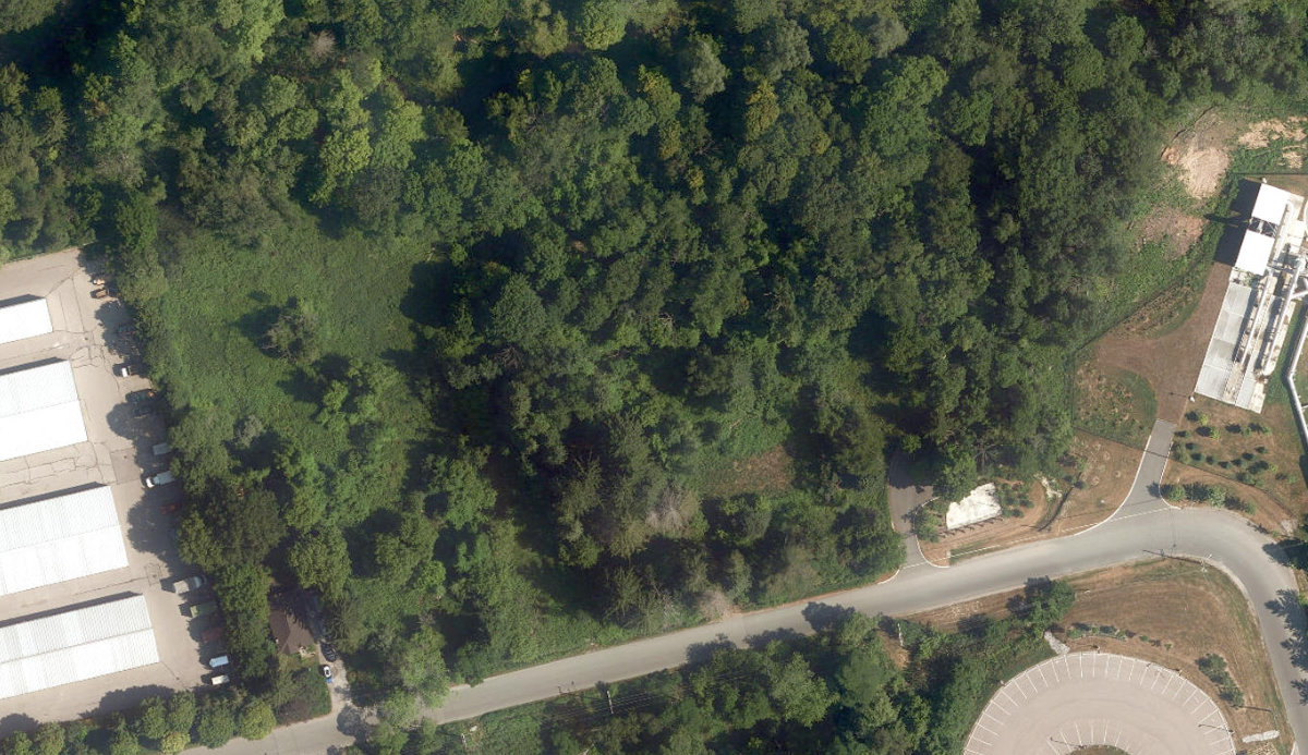 Janellan Ravine Park — site photograph