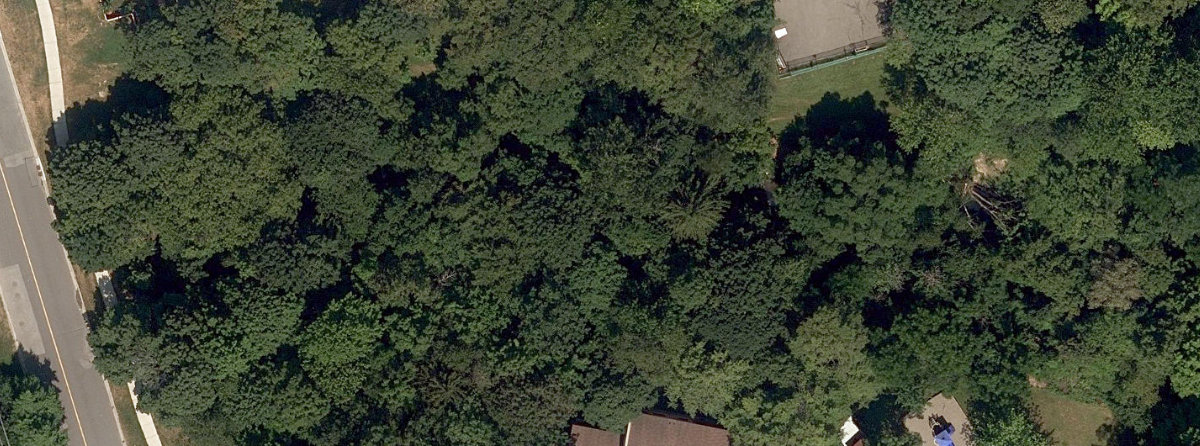 West Highland Creek Watercourse — site photograph