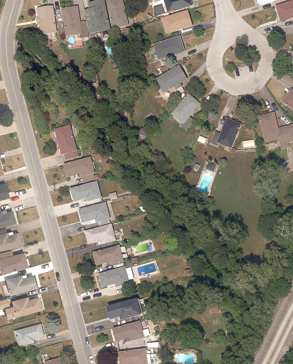 Massey Creek Watercourse — site photograph