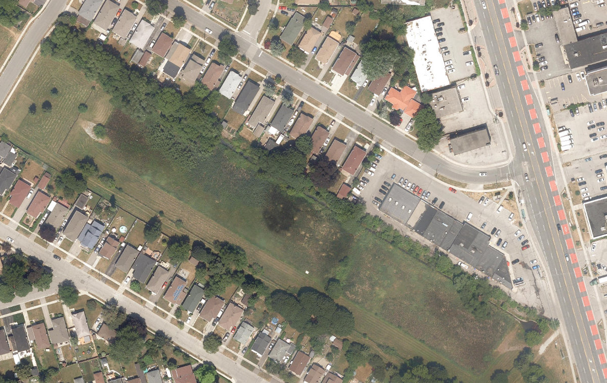 West Highland Creek Watercourse — site photograph