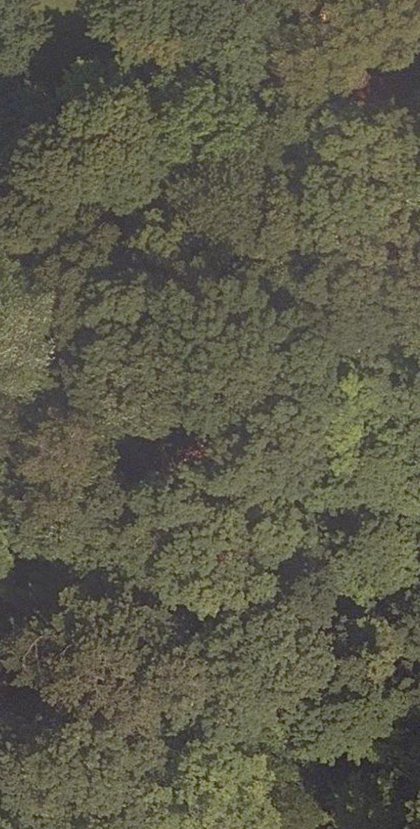 City Wide Open Space — site photograph