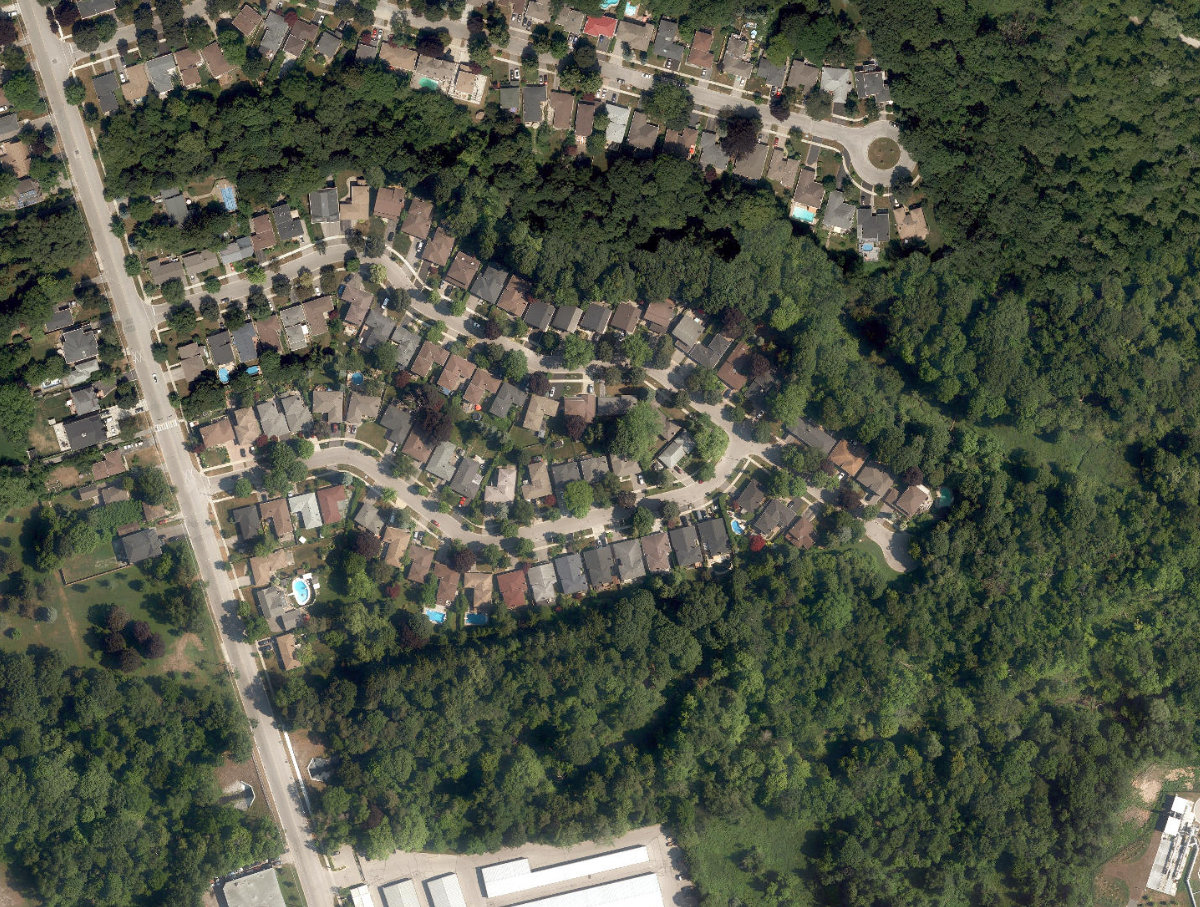 Janellan Ravine Park — site photograph