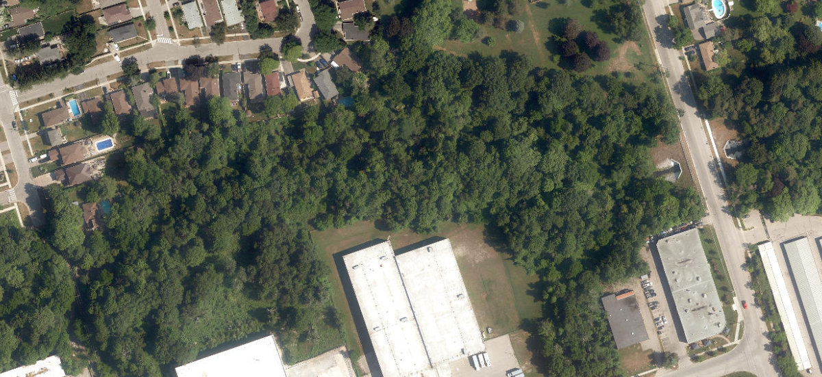 Beechgrove Ravine — site photograph