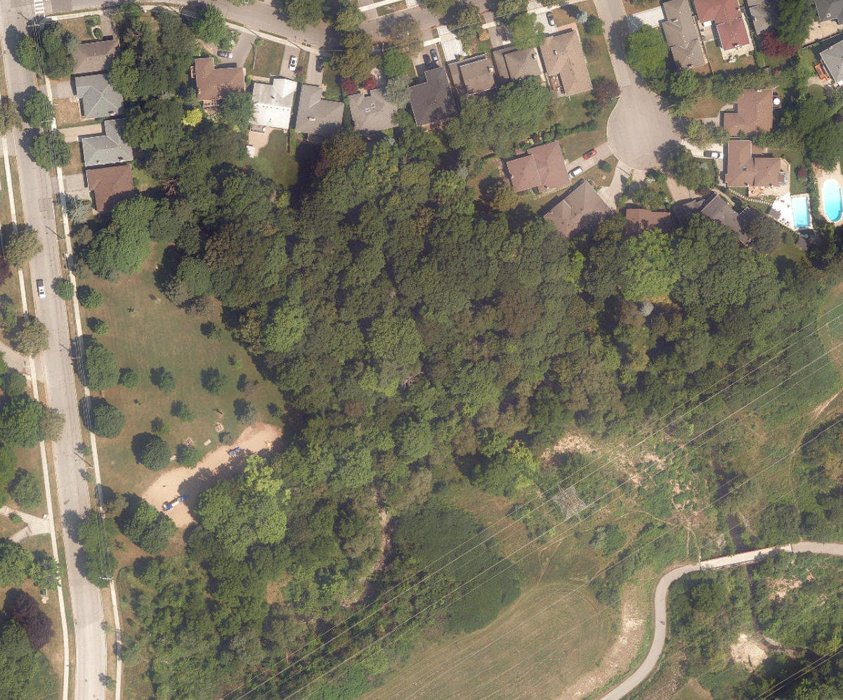 Maxome Park — site photograph