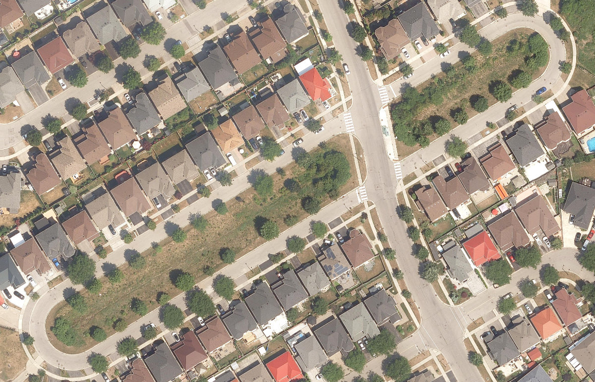 Dragonfly Crescent Drainage — site photograph
