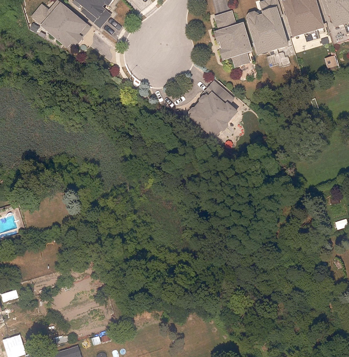 Laura Ellis Park — site photograph