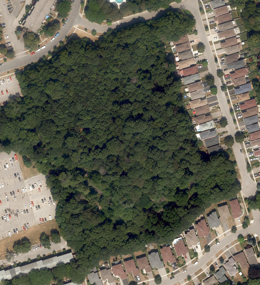 Deekshill Park — site photograph