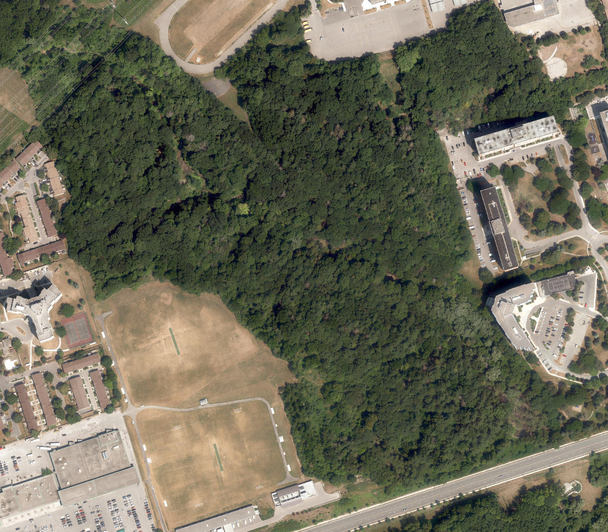 Ellesmere Ravine Park — site photograph