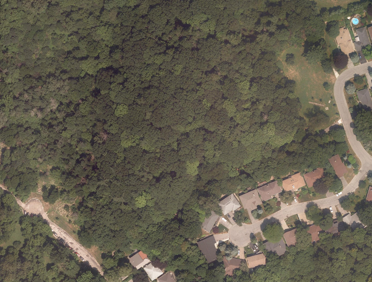 Burnett Park — site photograph