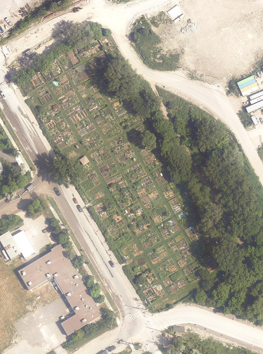 Leslie Street Allotment Gardens — site photograph
