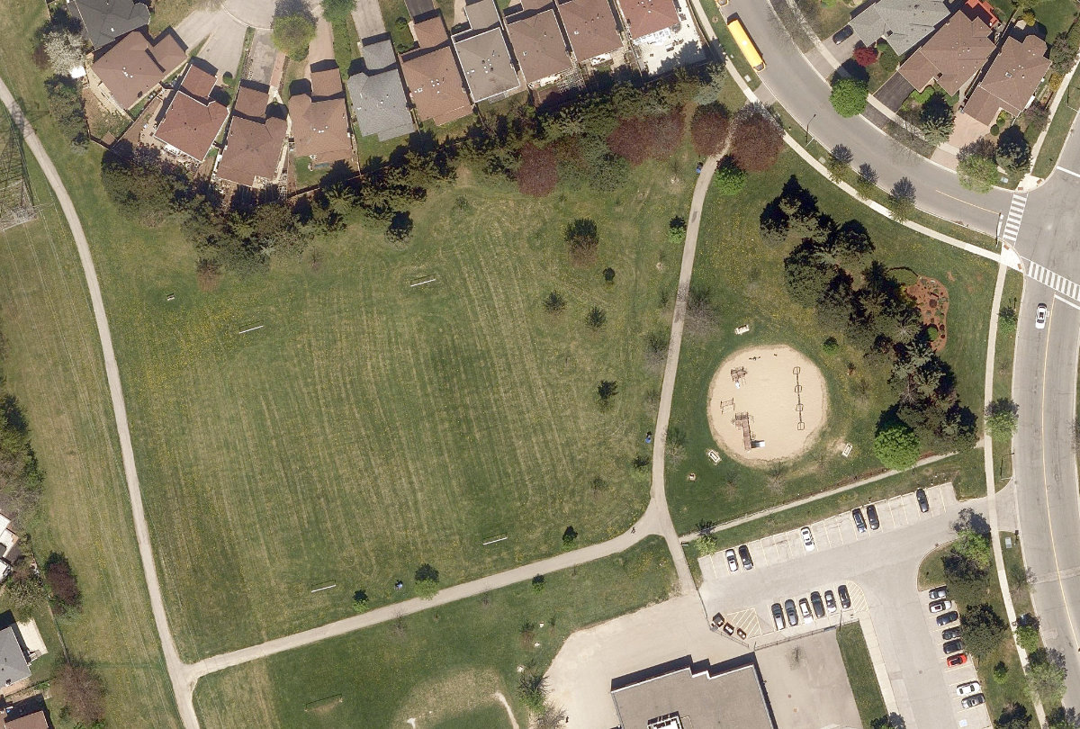 Bamburgh Park — site photograph