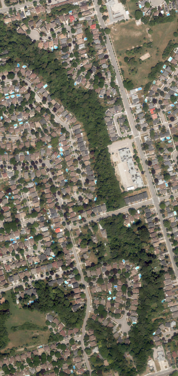 Centennial Creek — site photograph