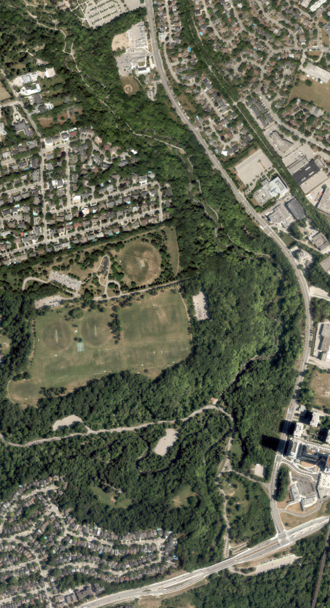 Wilket Creek Park — site photograph