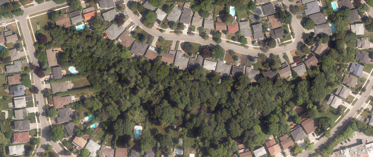 Sawley Banstock Greenbelt — site photograph