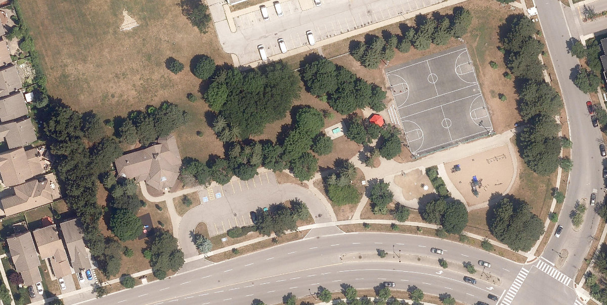 Tall Pines Park — aerial / top-down view