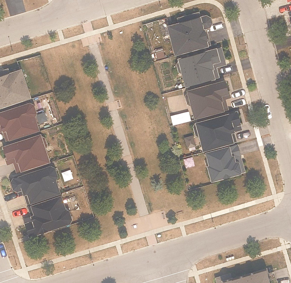 Trumpeter Park — site photograph