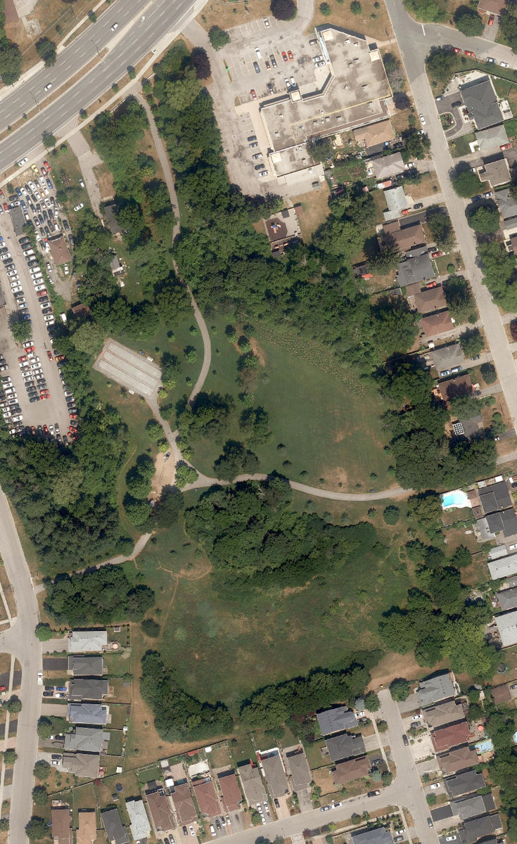 Megan Park — site photograph