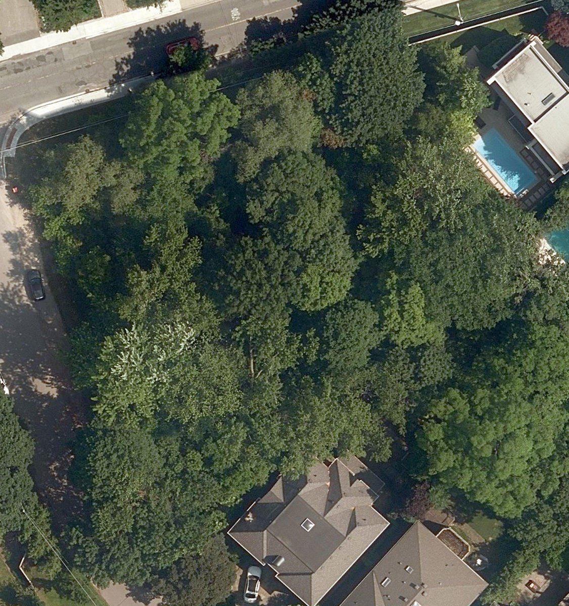 Blythdale Greenbelt — site photograph