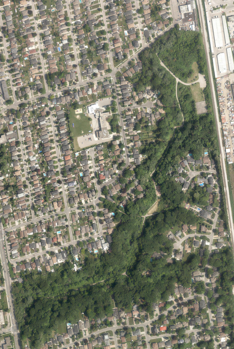 North Park — site photograph