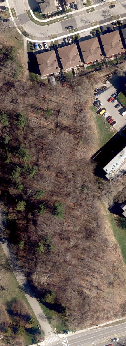 Benjamin Boake Greenbelt — site photograph