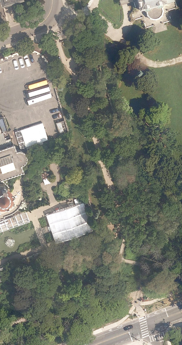 Spadina Park — aerial / top-down view