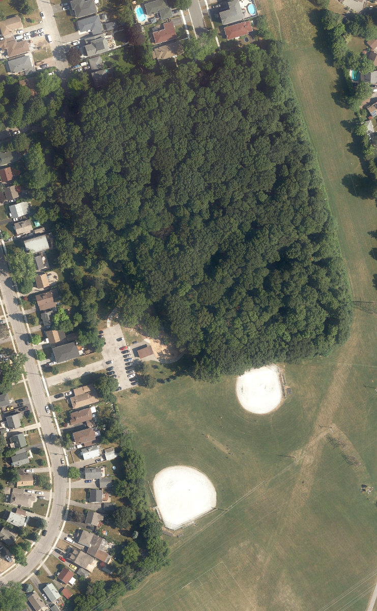 Wexford Park — aerial / top-down view