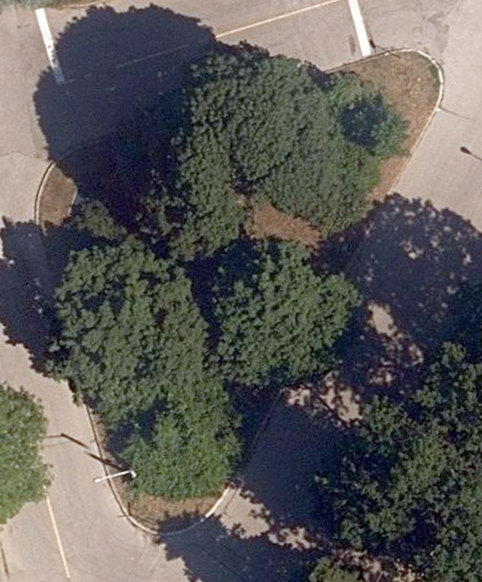 Whitebirch Road Island — site photograph