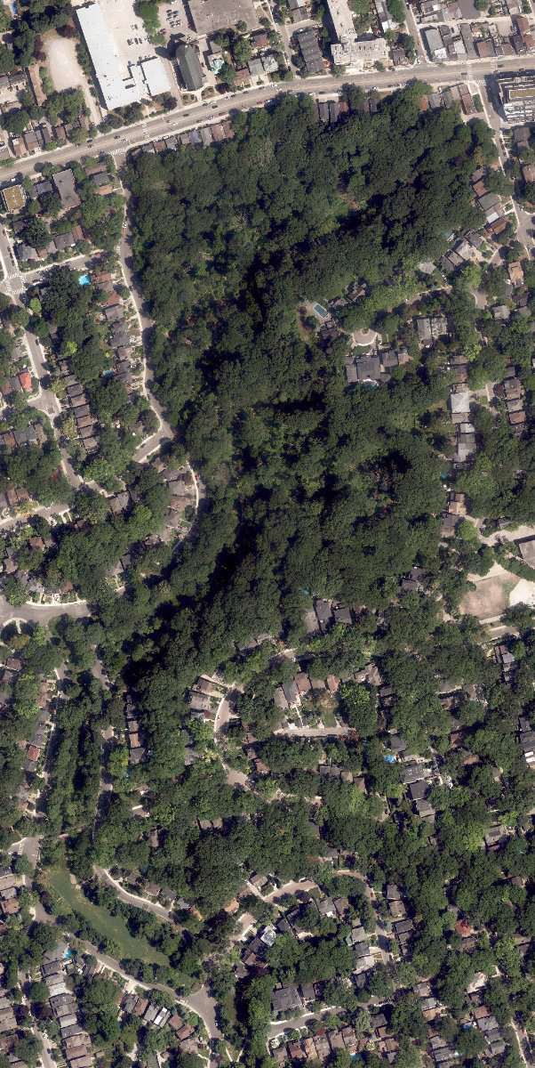 Glen Stewart Park — aerial / top-down view