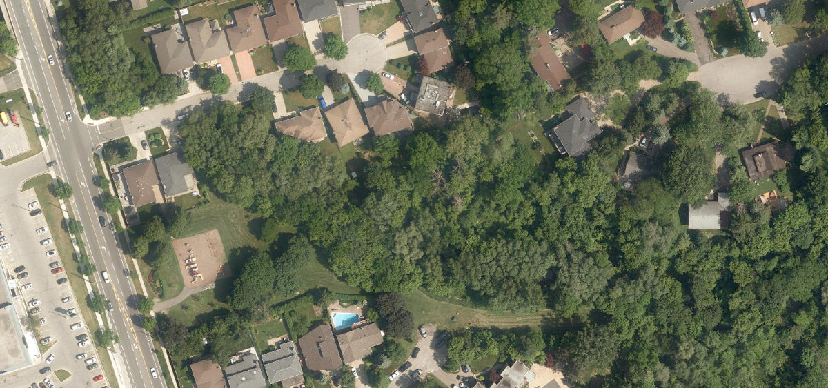 Douglas B. Ford Park — aerial / top-down view